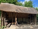 Archeon 1