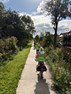 thumbnail_image12