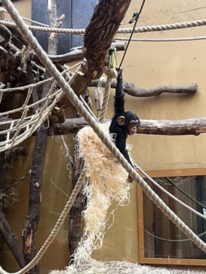image4 (2)