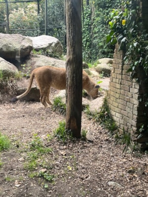 image1 (2)